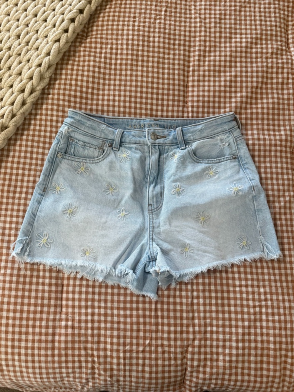 American Eagle Mom Shorts Light Blue Daisy Embroidered Denim Shorts